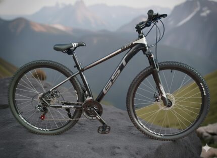 Bicicleta aro 29
